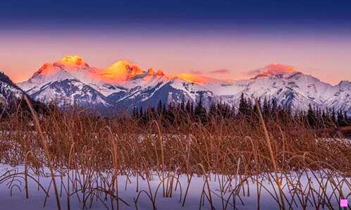 三2018年江苏跨年演唱会节目单