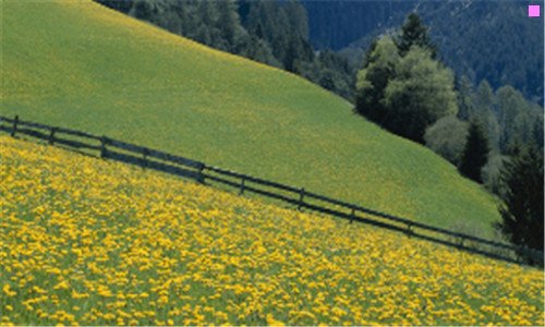 二全球第一大手机生产商是谁