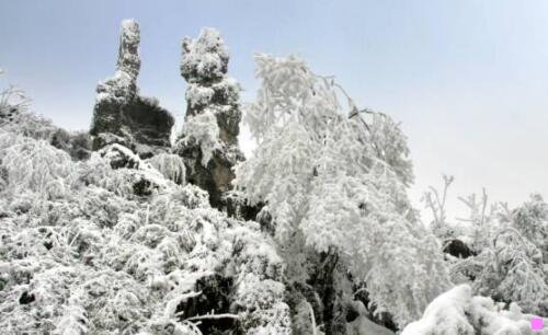 三creed中国官网