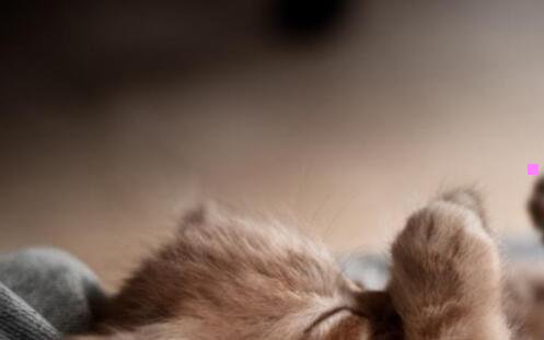 二没密码怎么连隔壁wifi