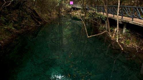 二河北沧州鱼竿质量咋样