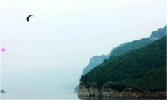 丧名字-丧的简短网名