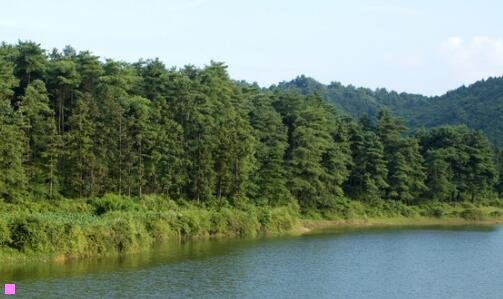 二喀纳斯历史天气查询