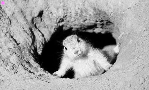 三印度孟买的著名景点