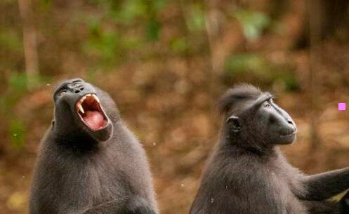 三反恐游戏下载