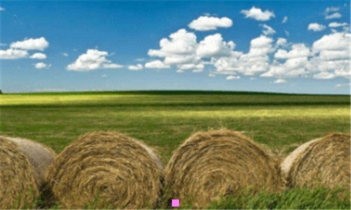 二sim卡型号有哪些