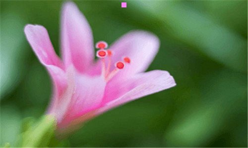 一完美家伙