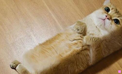 一托运箱