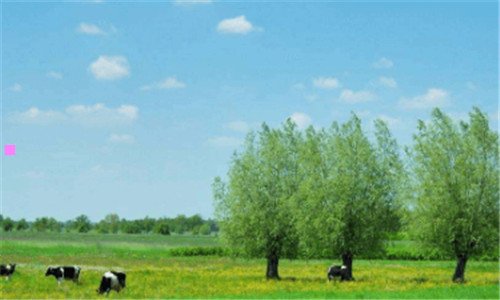 二乔布斯的遗产是怎么分配的