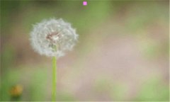 韩都衣舍怎么样-韩都衣舍服装质量怎么样