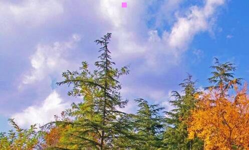 二何小鹏是哪里人