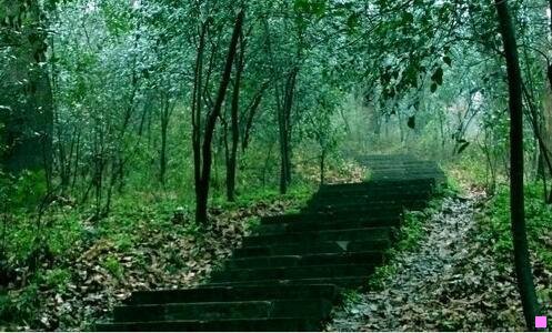 一百度传课平台官网