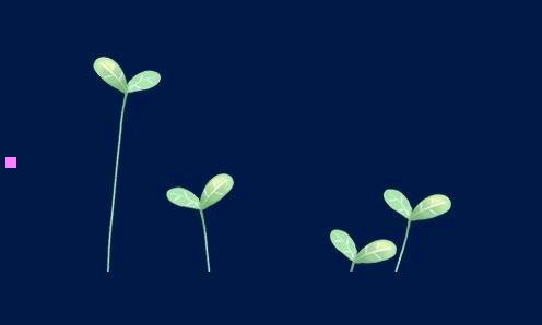 三受洗后不能做哪些