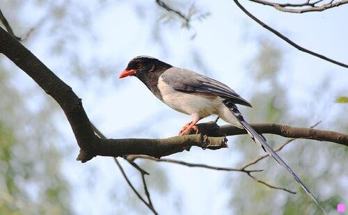 二大城小爱婚纱怎么样