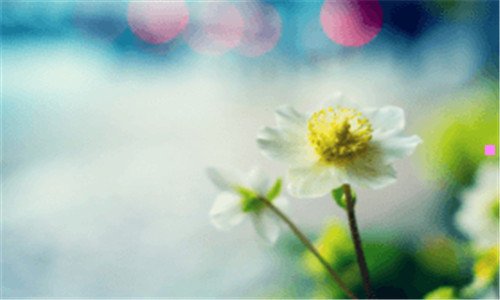 二苹果手机价格表