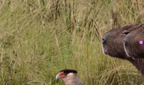 二13个集团军实力排名