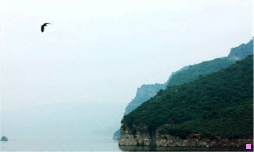 一好丽友食品有限公司