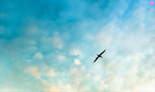 二有火的龙卷风