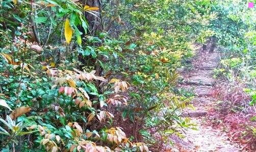 二杀手代号47电影完整版在线观看