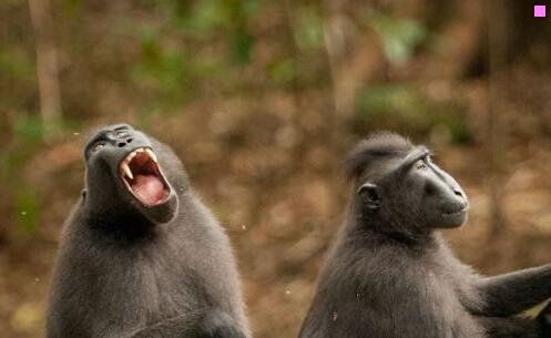 二敦煌美女唯美图片