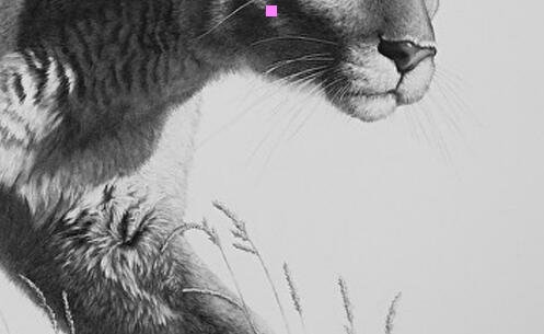 三北京圆明园门票多少钱