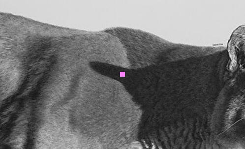 二福建漳州火山岛门票多少钱