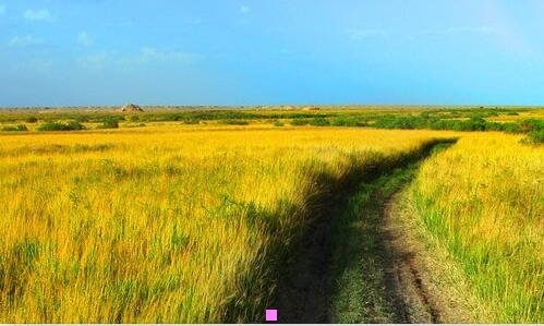 三灵域秦山是什么人物