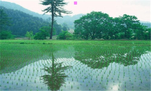 三7723游戏盒