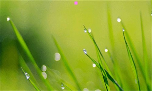 三海底总动员英语翻译简介