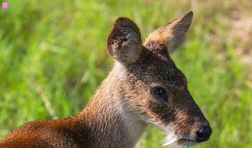 二八神修改器官网下载