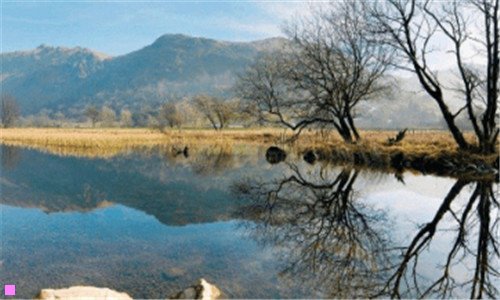 三梅州小吃种类