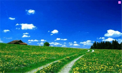 二印度辣椒今日最新价格