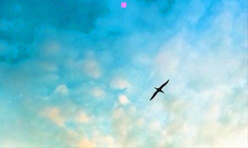 三水龙吟小说高阳