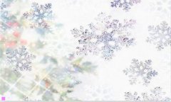 金东方物流-沈阳金东方物流电话