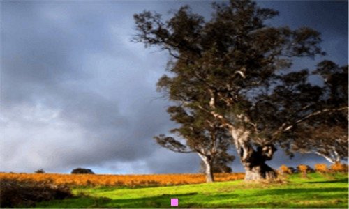 二2019百度卫士官方下载