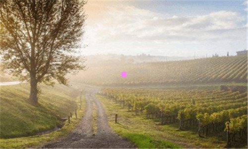 一深圳上海宾馆