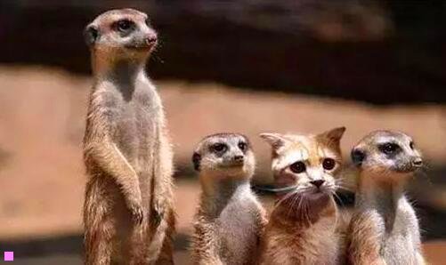 三山西运城平陆县算穷吗