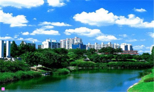 三临清最新地图