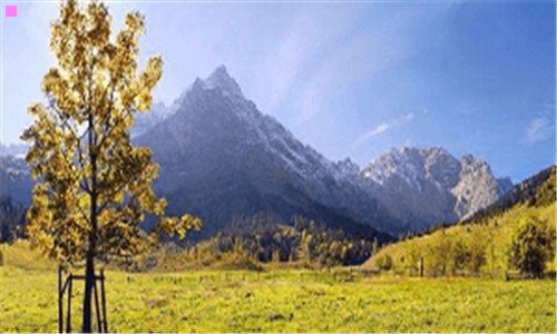 三吉安美食排名前十餐厅