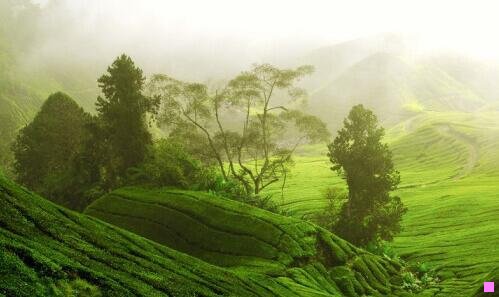 三深圳现在哪里有好玩的地方