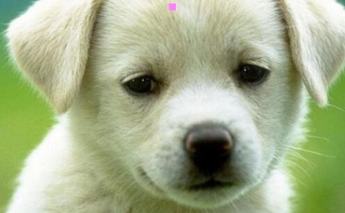 三awfullychocolate官网