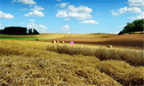 二武当山有哪些景点简介