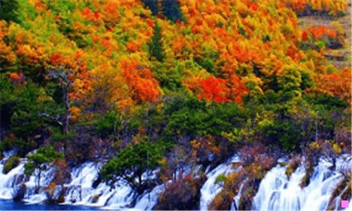 三龙井市新闻网