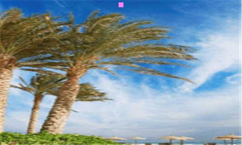 三马云购买肯德基中国