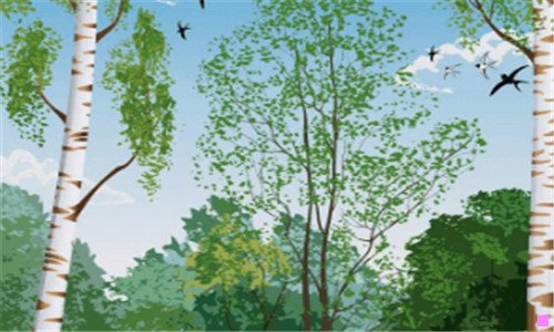 一深圳翠竹公园
