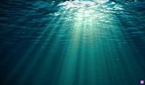 二花城×谢怜 各种play