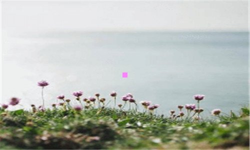 二朴秀儿