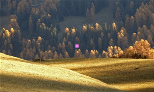 三富马酸替诺福韦二吡呋酯片