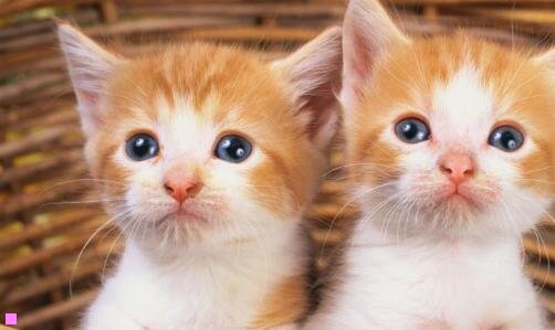 一乌鲁木齐旅游团