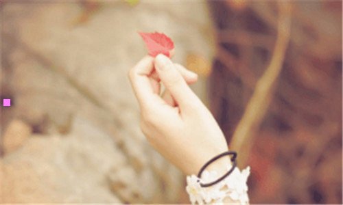 三鸿道3期